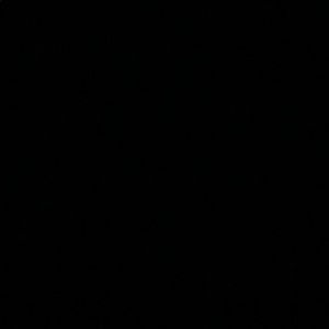 Meet your Posher, Rosa